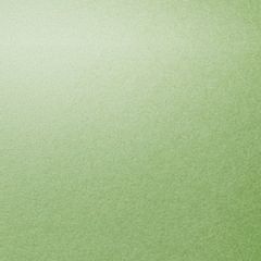 ASPIRE PETALLICS 81T (120gsm) Greeneyes 8.5 X 11 - 100/PKG