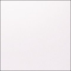 ASPIRE PETALLICS 105C (284gsm) Snow Willow 11 X 17