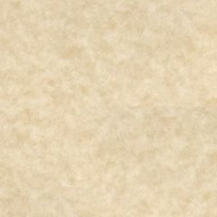 ASTROPARCHE 60T (89gsm) Aged 11 X 17