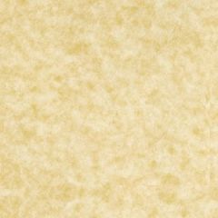 ASTROPARCHE ENVELOPES 60T (89gsm) Ancient Gold #10 COMMERCIAL FLAP