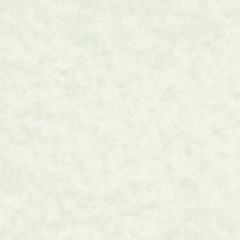 ASTROPARCHE ENVELOPES 60T (89gsm) Celadon #10 COMMERCIAL FLAP