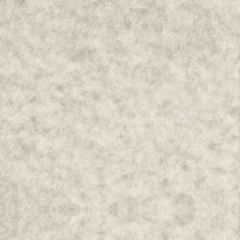 ASTROPARCHE ENVELOPES 60T (89gsm) Gray #10 COMMERCIAL FLAP