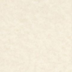 ASTROPARCHE ENVELOPES 60T (89gsm) Natural #10 COMMERCIAL FLAP