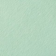 COLORPLAN FOLDER PLAIN 100C (270gsm) Park Green A-2