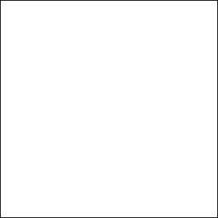 CRANE'S CREST KID 134DTC (362gsm) Fluorescent White 11 X 17