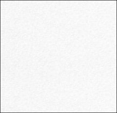 CRANE'S CREST WOVE ENVELOPES 24W (90gsm) Fluorescent White #10 POINTED FLAP