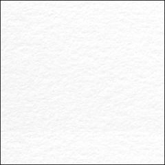 CRANE'S LETTRA 110C (298gsm) Fluorescent White 22 X 30 279M GL
