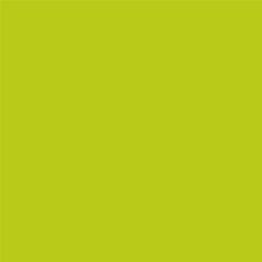 POP'SET DIGITAL 118C (320gsm) Lime Tonic 18.1 X 12.6 GS