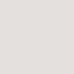 EXACT INDEX 110I (199gsm) Gray 22.5 X 35 223M GL