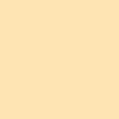 EXACT INDEX 110I (199gsm) Ivory 22.5 X 35 223M GL