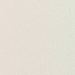 GMUND ACTION 113C (310gsm) Crystal Vanilla Sorbet 27.5 X 39.37 470M GL