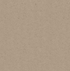 MUSCLETONE 140C (379gsm) Speckletone Kraft 12 X 18 - 50/PKG