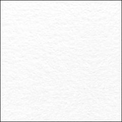 NEENAH PRINTABLE BLOTTER 100C 17PT (270gsm) White 19 X 24 175M GS