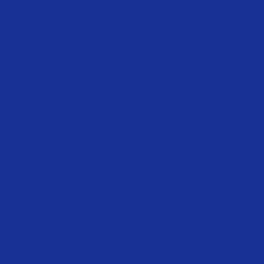 PLIKE 122C (330gsm) Royal Blue 28.4 X 40.2 534M GL