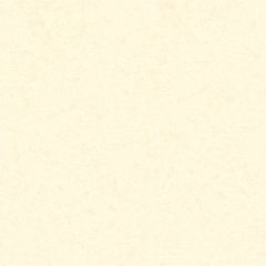 POP-TONE CARD PLAIN 100C (270gsm) Whip Cream 5.5 X 5.5