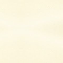 PRESSURE SENSITIVE REICH SHINE 80T (118gsm) Champagne 27 X 39.625 395M GL