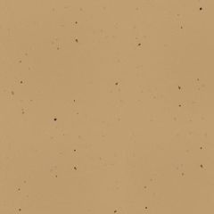 ROYAL SUNDANCE FIBER 80C (216gsm) Kraft 12 X 18